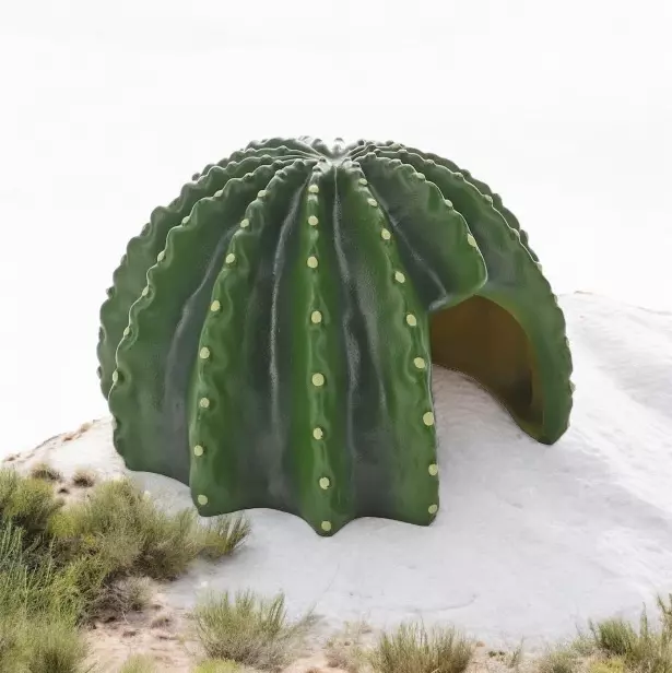 Cactus Home 2