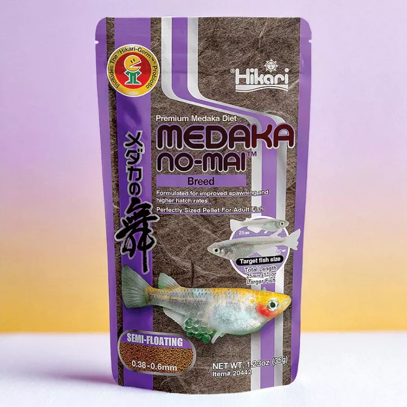 Hikari Medaka No-Mai Breed