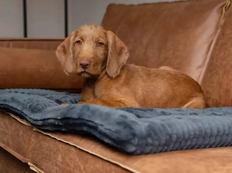 Harmony Kuscheldecke Anthrazit Harmony Kuscheldecke Anthrazit