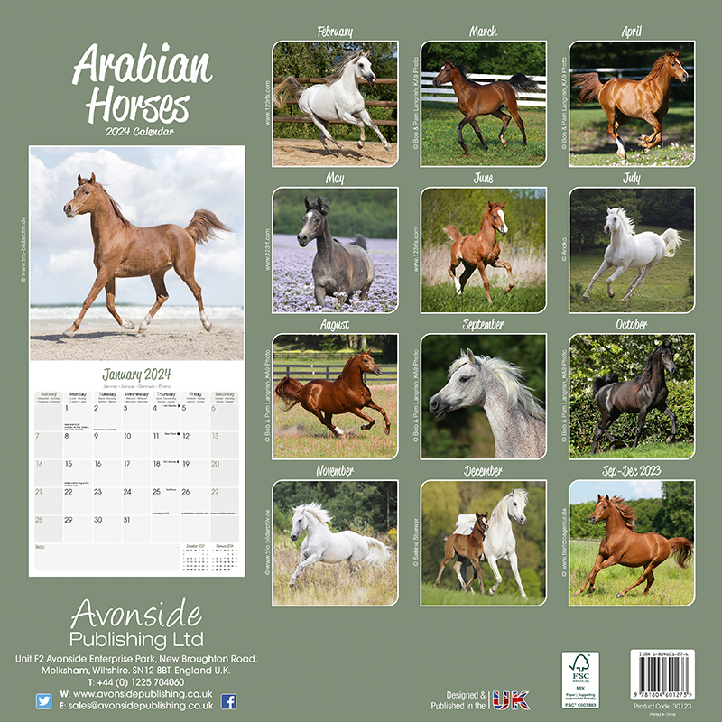 Calendar 2024 Arabian Horses