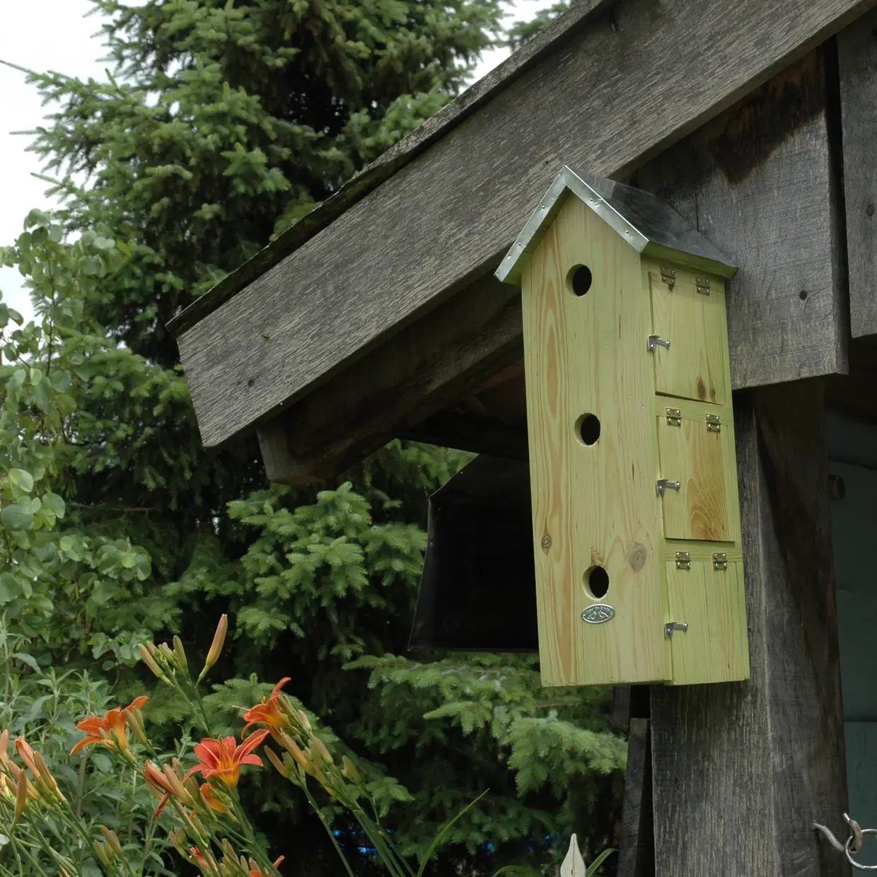 Ein hellgrünes, vertikales Holzhaus mit drei runden Einfluglöchern und drei kleinen Türen hängt unter einem dunklen Holzdachüberstand. Das Dach ist aus glänzendem Metall. Dahinter dichte Nadelbäume und Sträucher, vorne orange Taglilien.
