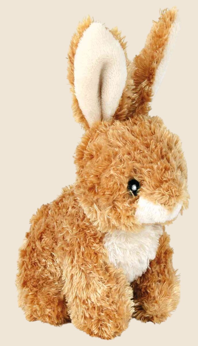 Jouet pour chiens Lapin