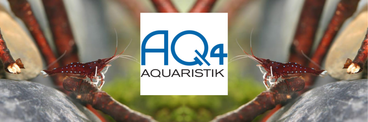 Tipp! – AQ4Aquaristik – hochwertiges Futter für Garnelen und kleine Zierfische