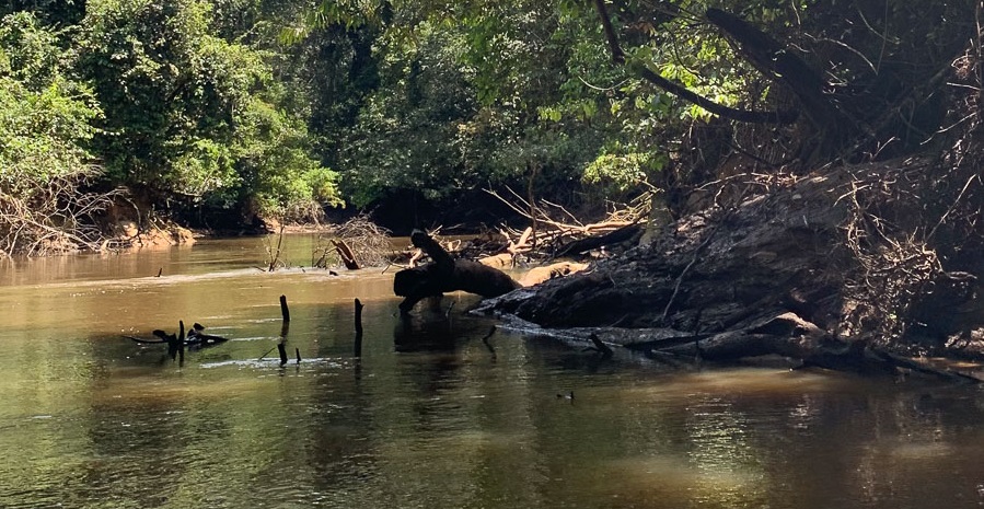 Gyabeno River, Ecuador