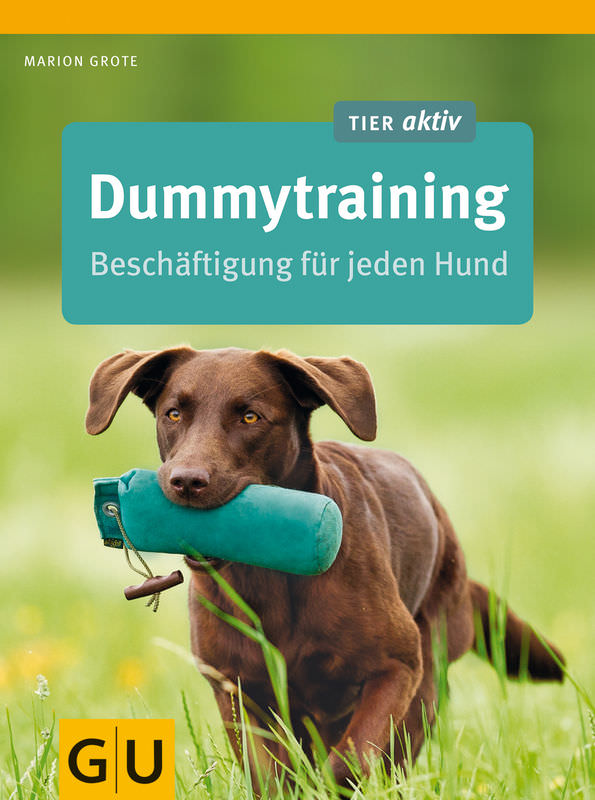 Dummytraining