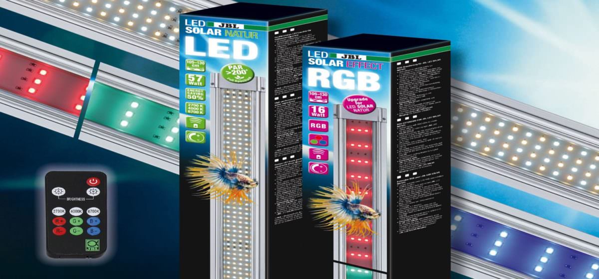 Steigen Sie auf LED-Leuchtmittel um – Ganz einfach & simpel!