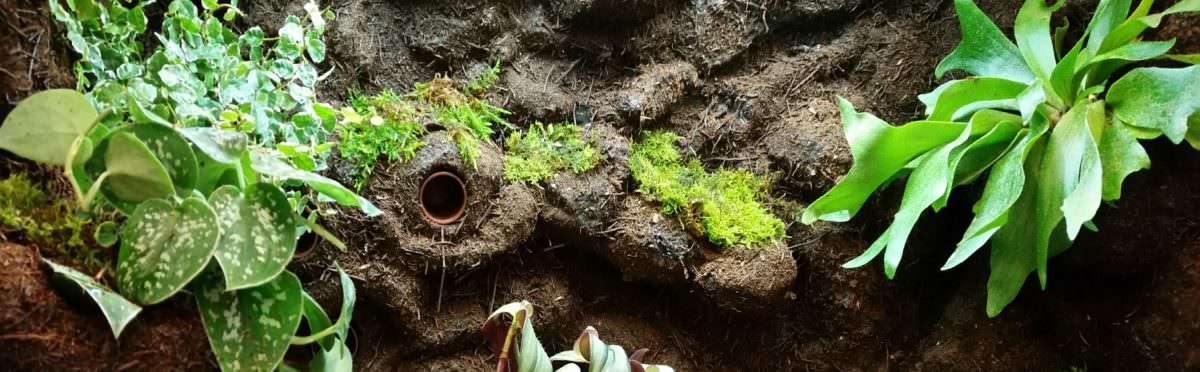 Rückwandbau für Terrarien