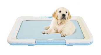 Swisspet Puppy Welpen WC