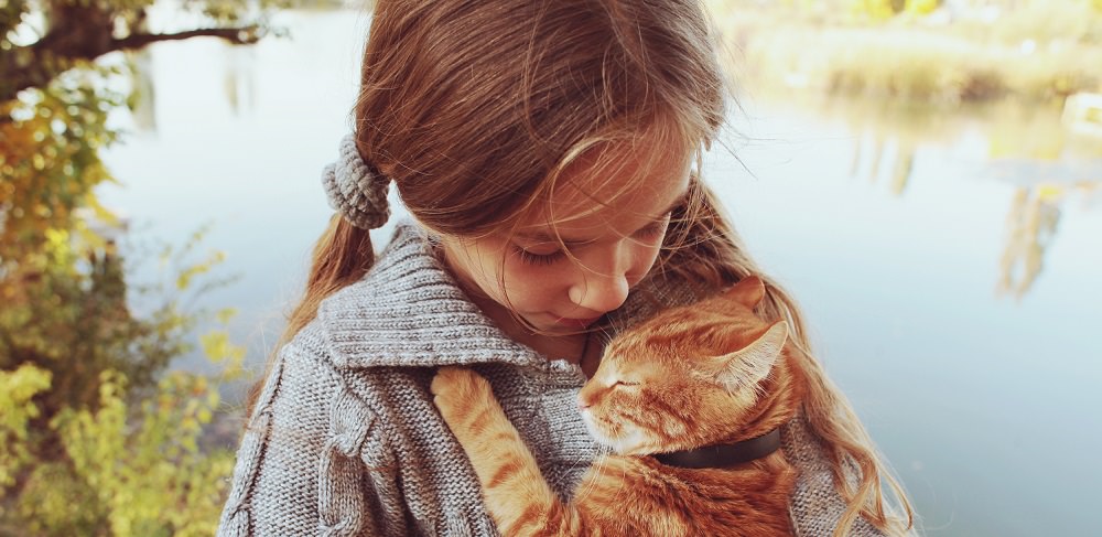 “Ich will ein Haustier!” – Der Traum vieler Kinder