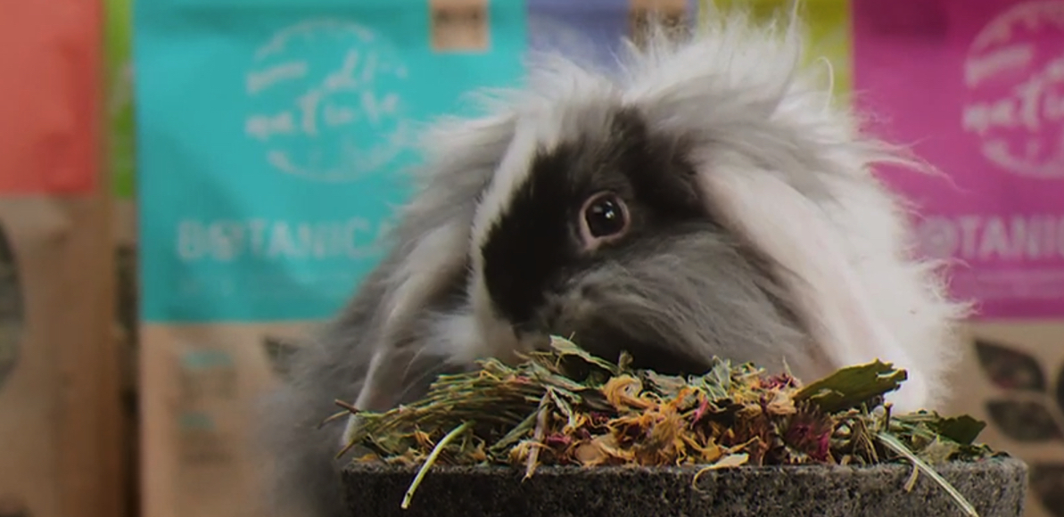 Bunny Botanicals – Fütterungskonzept
