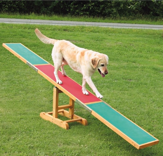 Agility Hundewippe