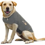 Thundershirt Hunde