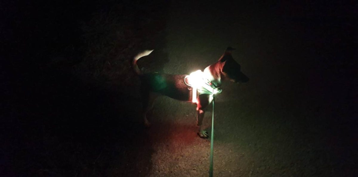 Lighthound