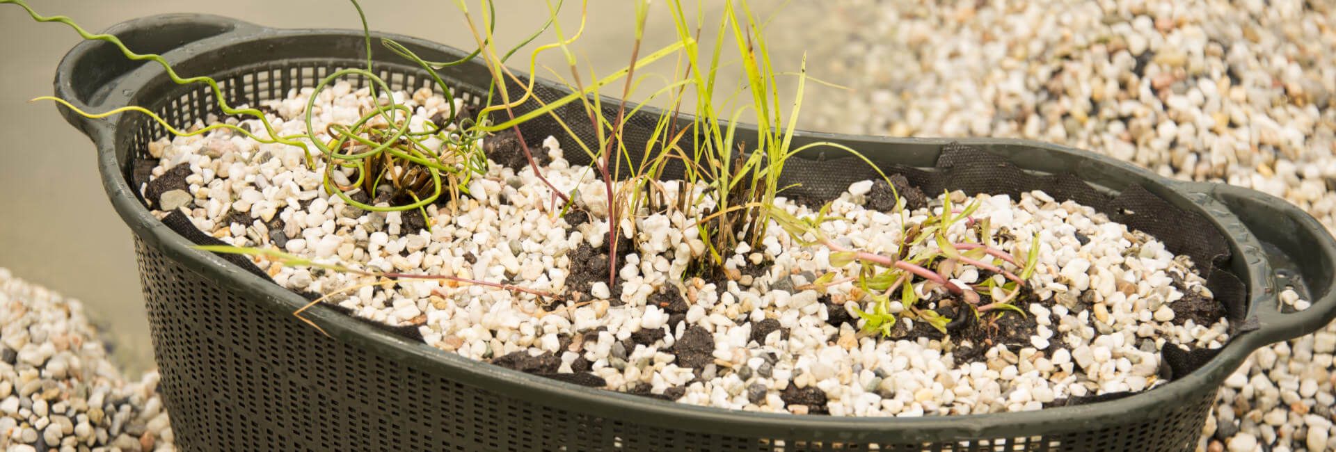 Pflanzkörbe für Teichpflanzen Gartenteich Zoo Roco