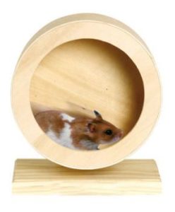 hamsterrad-roundy